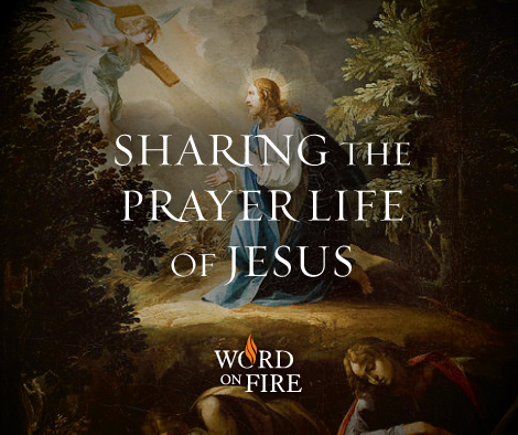 Sharing the Prayer Life of Jesus: An Interview with Shane Kapler - Word ...