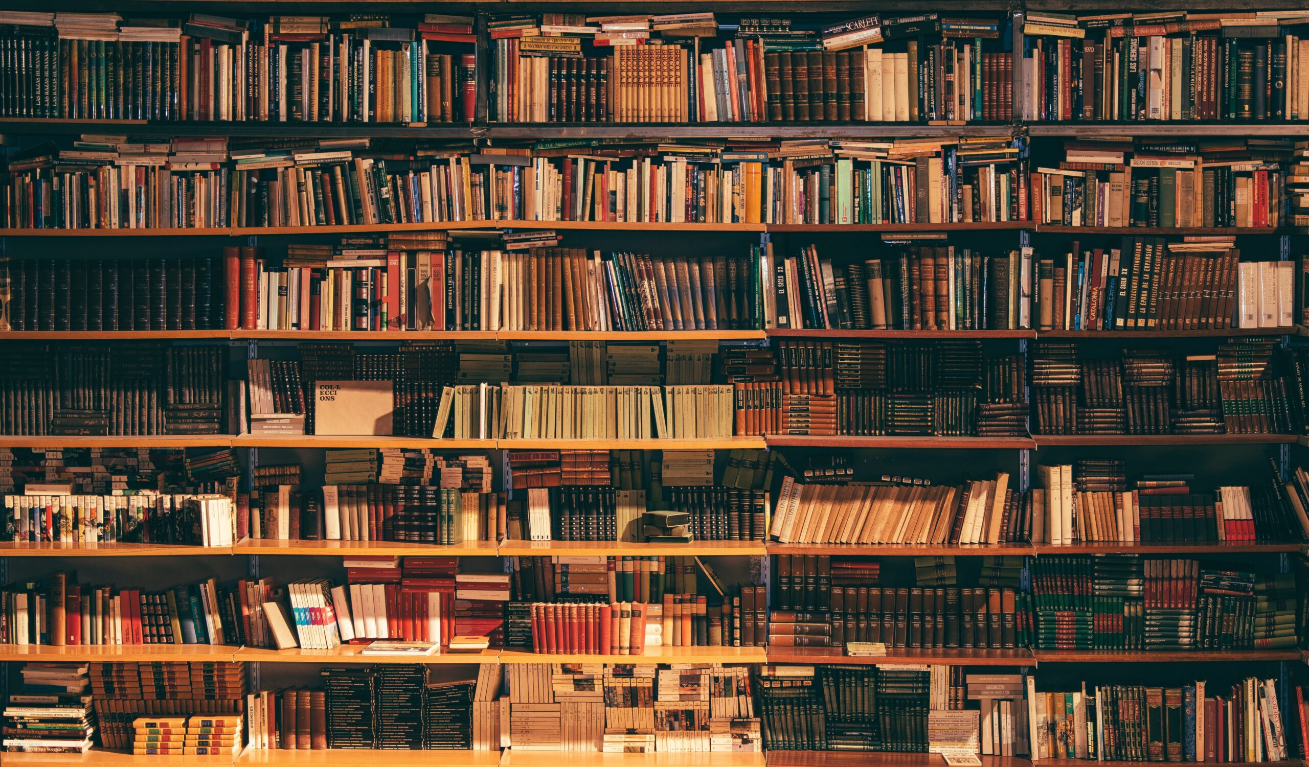 Books on Library Shelf