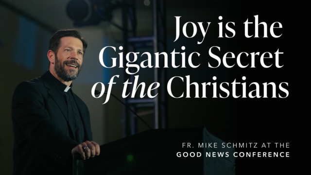 Fr. Mike Schmitz