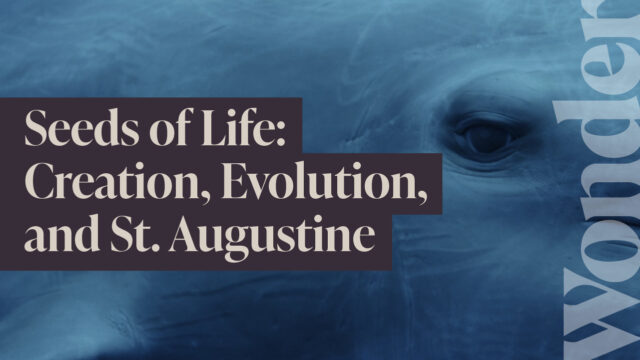 Seeds of Life: Creation, Evolution, and St. Augustine