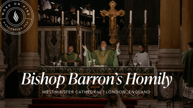 Bishop Barron at Westminster Cathedral
