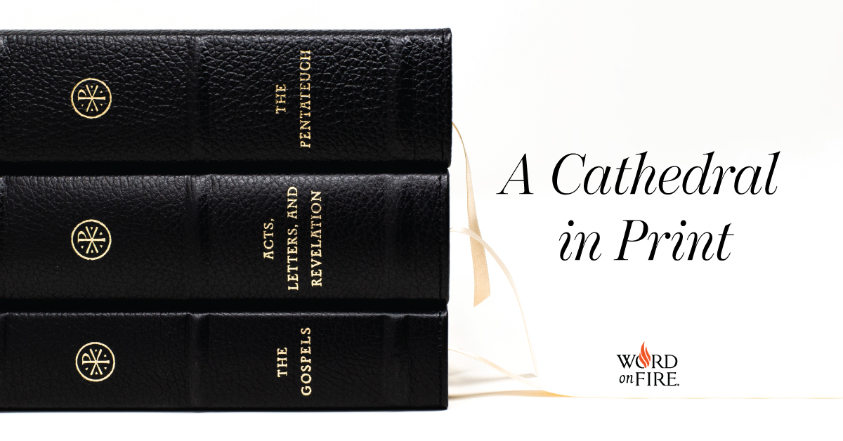 Word on Fire Bible Vol III