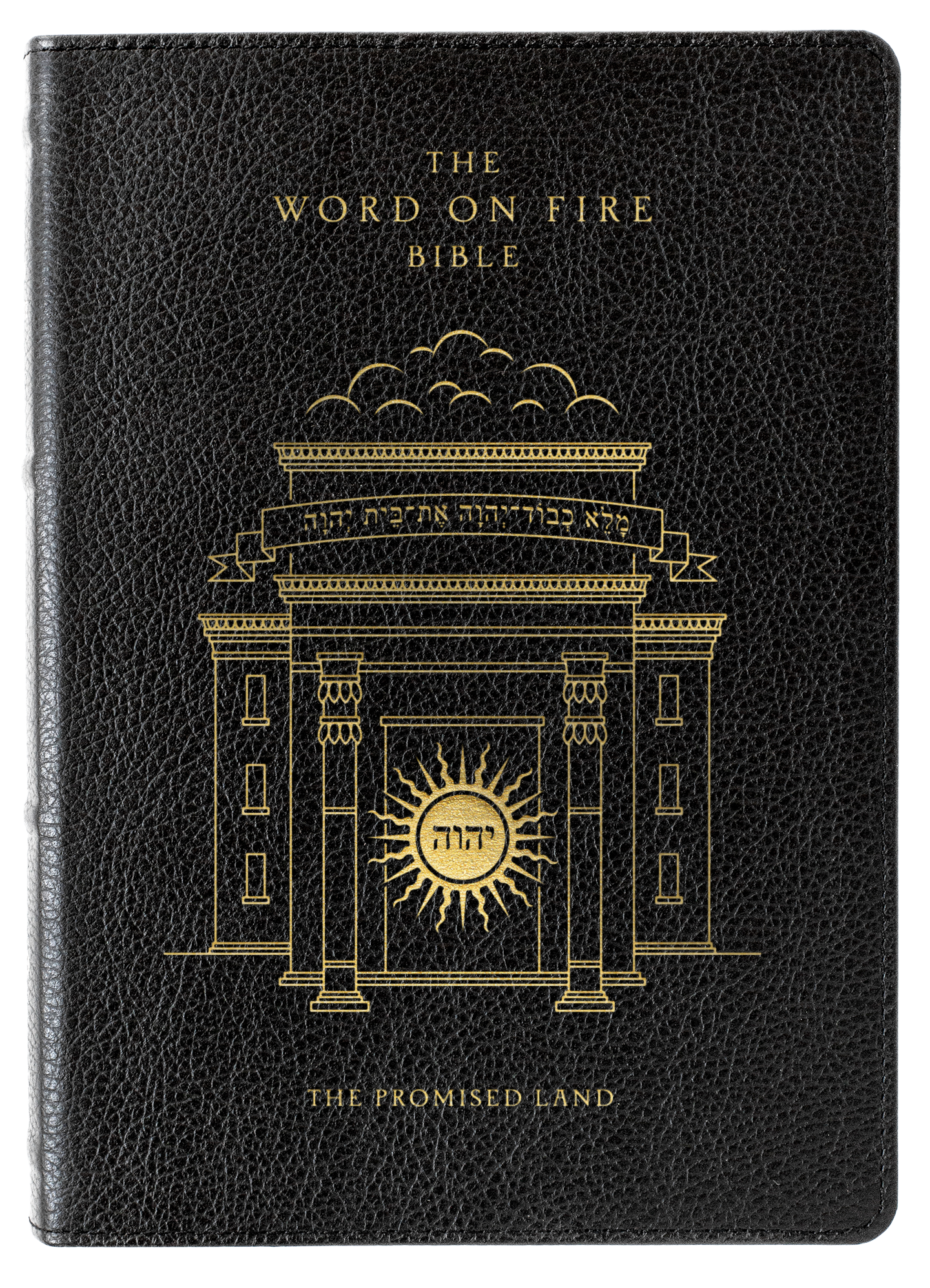 Support the Word on Fire Bible Project - Word on Fire