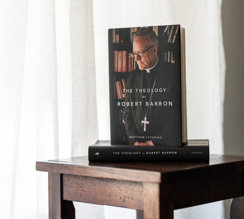 Theology of Robert Barron