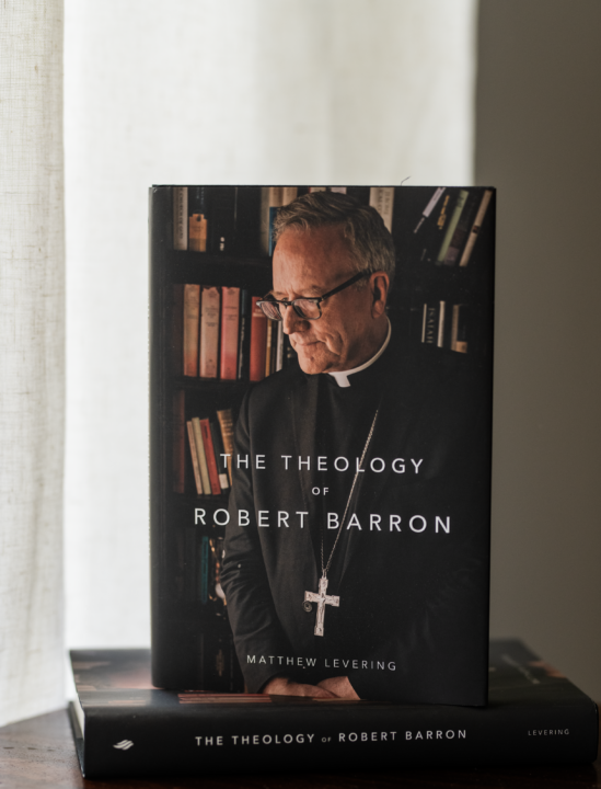 Theology of Robert Barron book