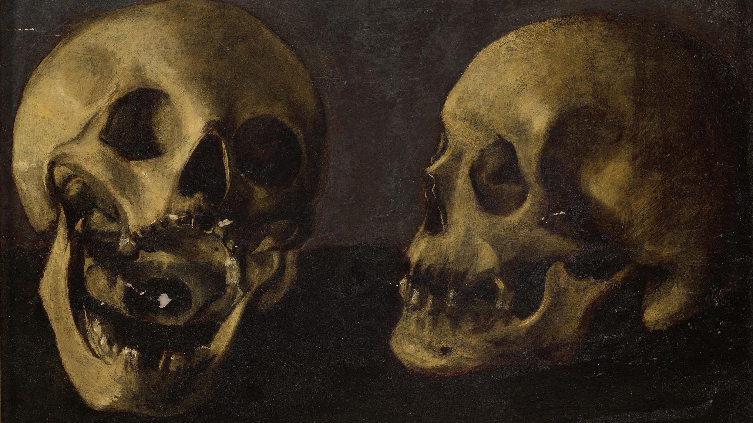 2 skulls on a black background