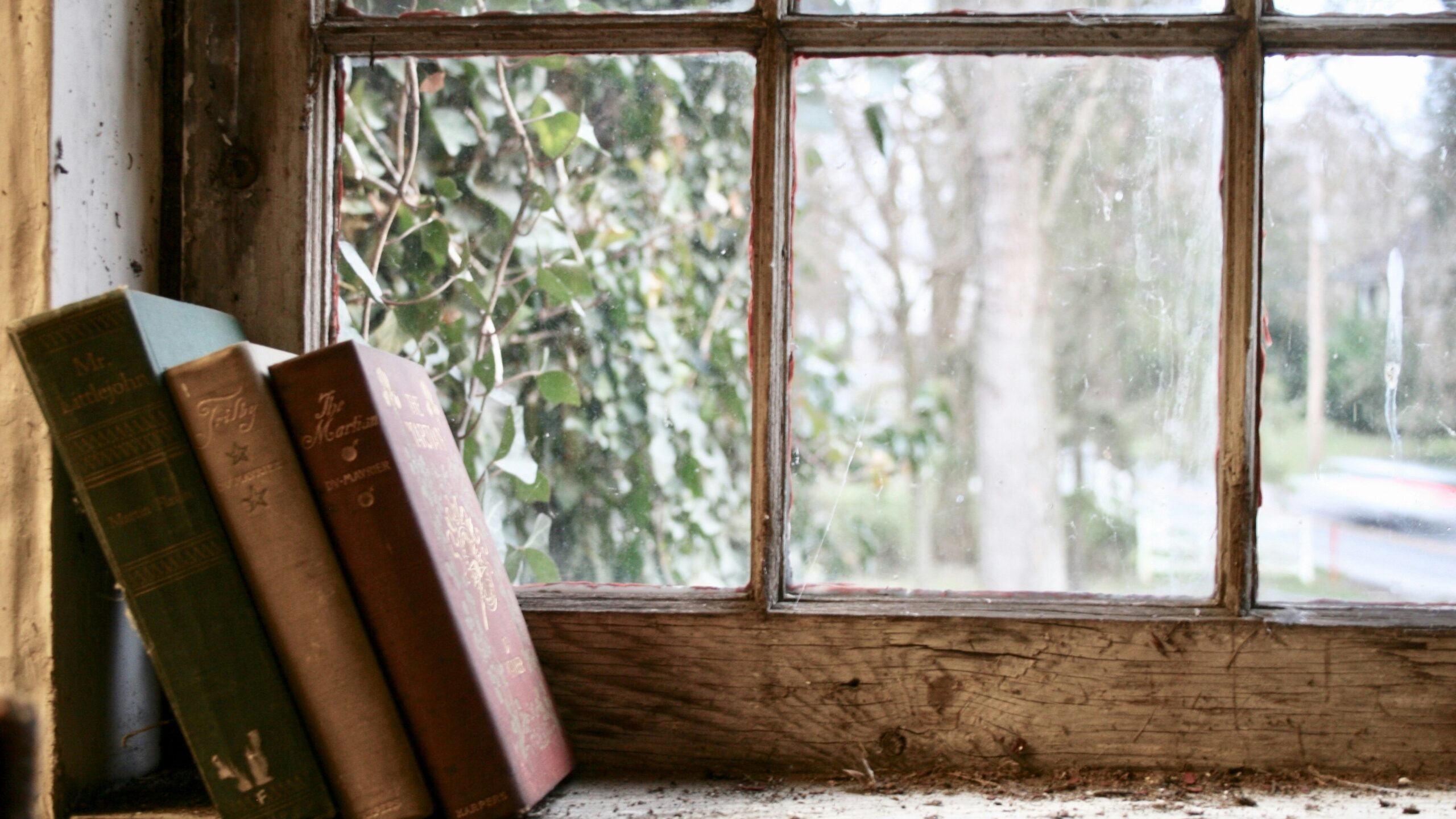 Books resting on a windowsill