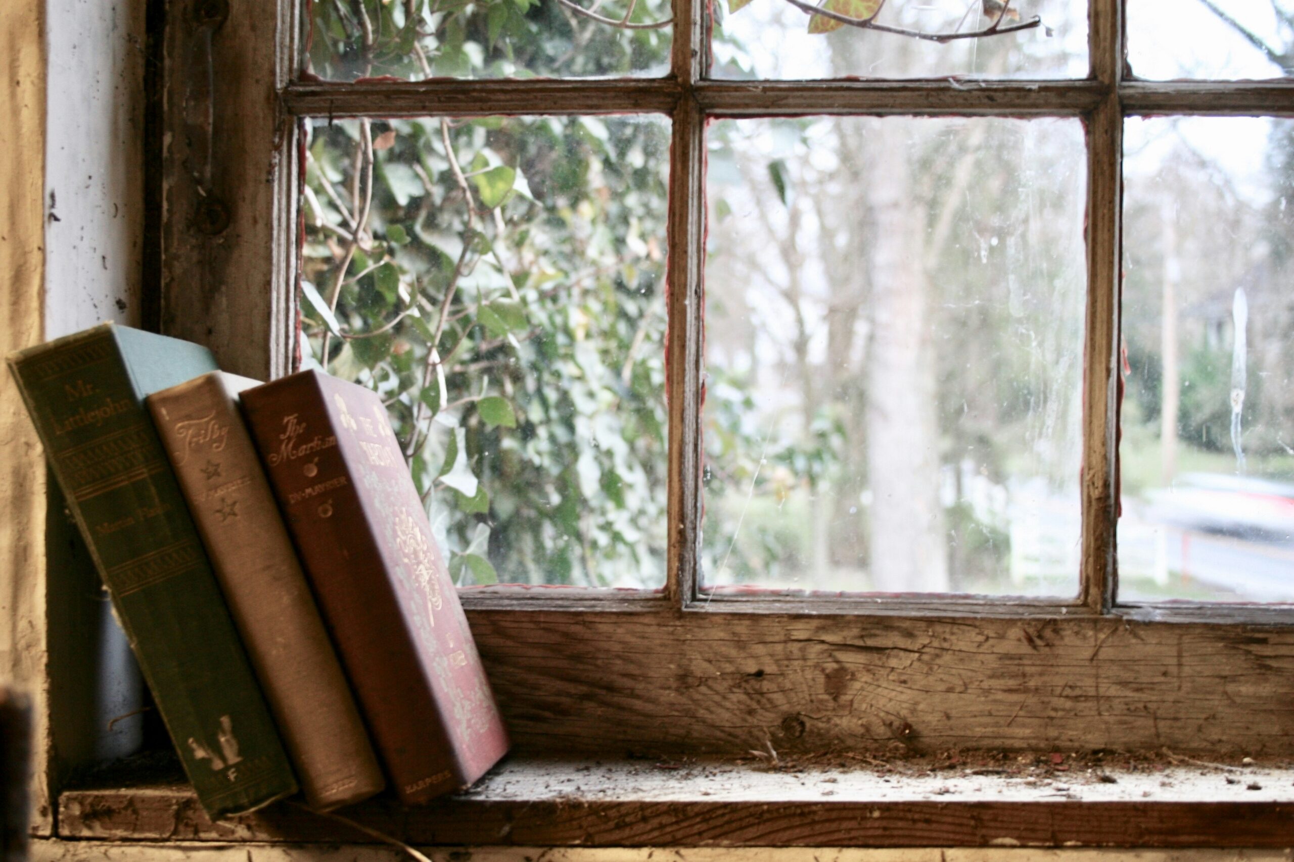 Books resting on a windowsill
