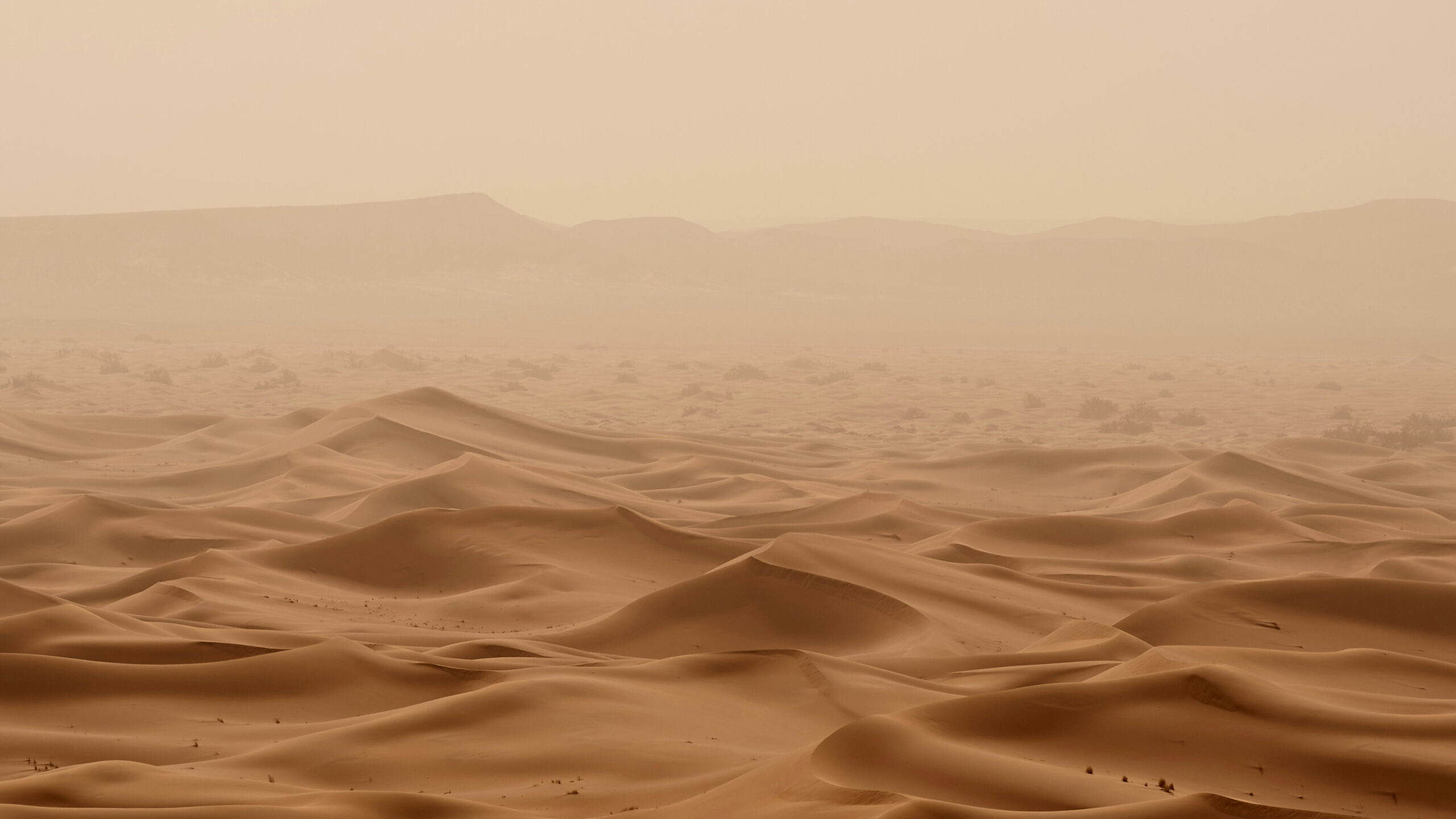 A vast ocean of waves