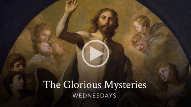 Sorrowful Mysteries of the Rosary with Bishop Robert Barron