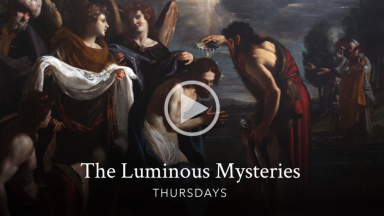 Sorrowful Mysteries of the Rosary with Bishop Robert Barron