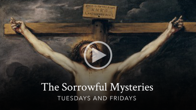 Sorrowful Mysteries of the Rosary with Bishop Robert Barron