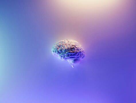 Image of a human brain