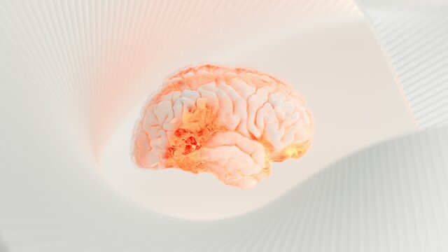 a glowing brain