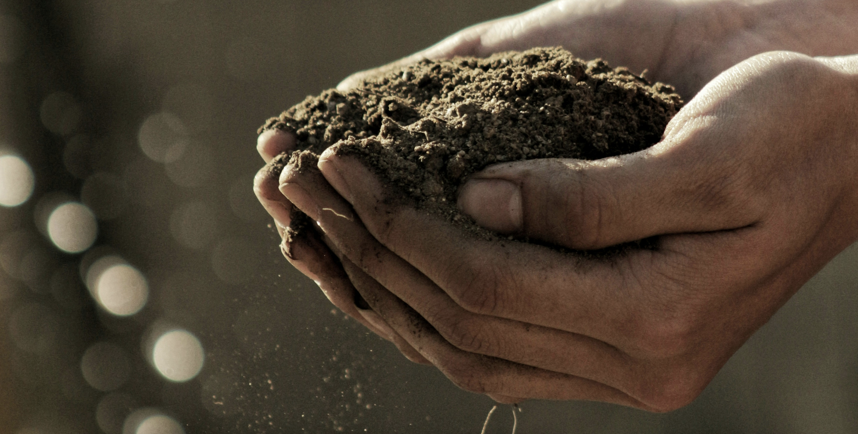 hands holding loose dirt