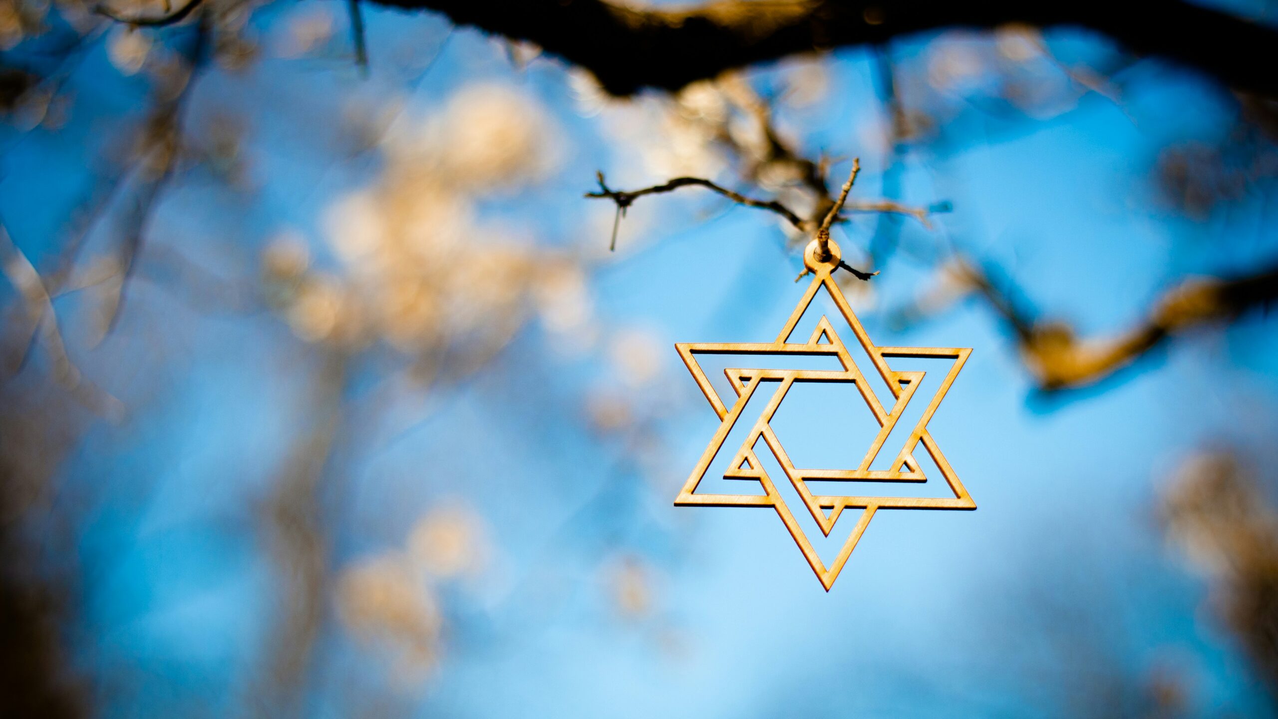 Star of David dangling on a tree branch