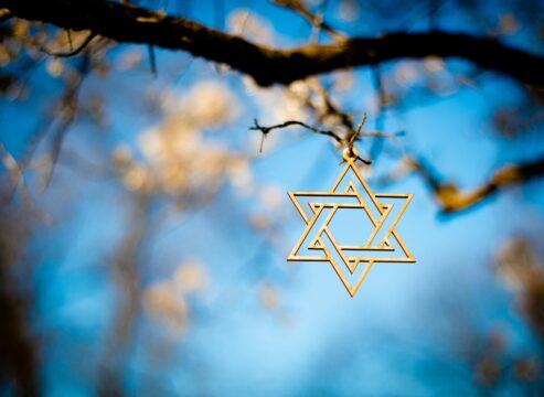 Star of David dangling on a tree branch