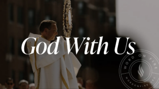 The Story of America’s Three-Year Eucharistic Revival