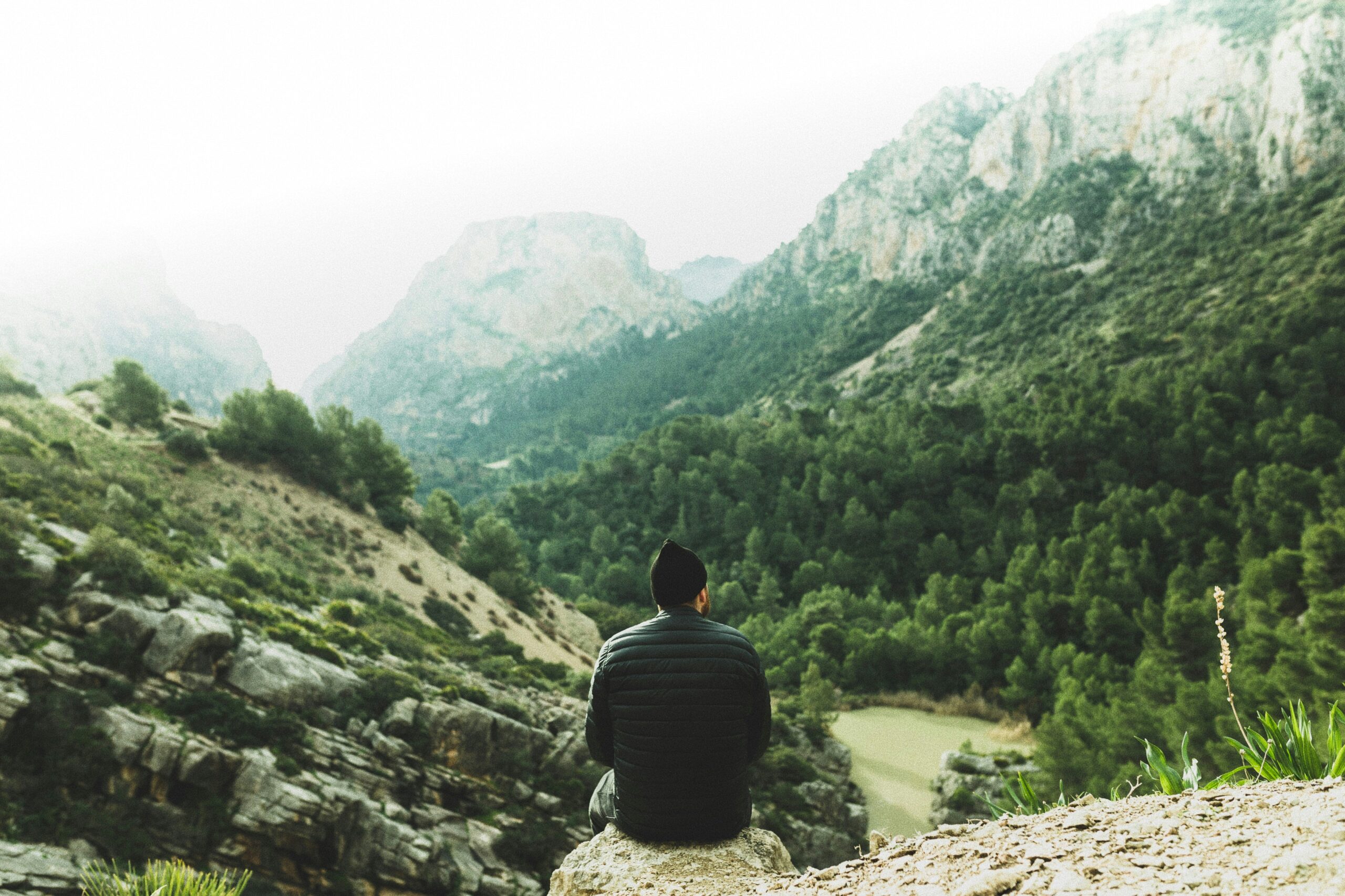 Man looking into a lush mountainside