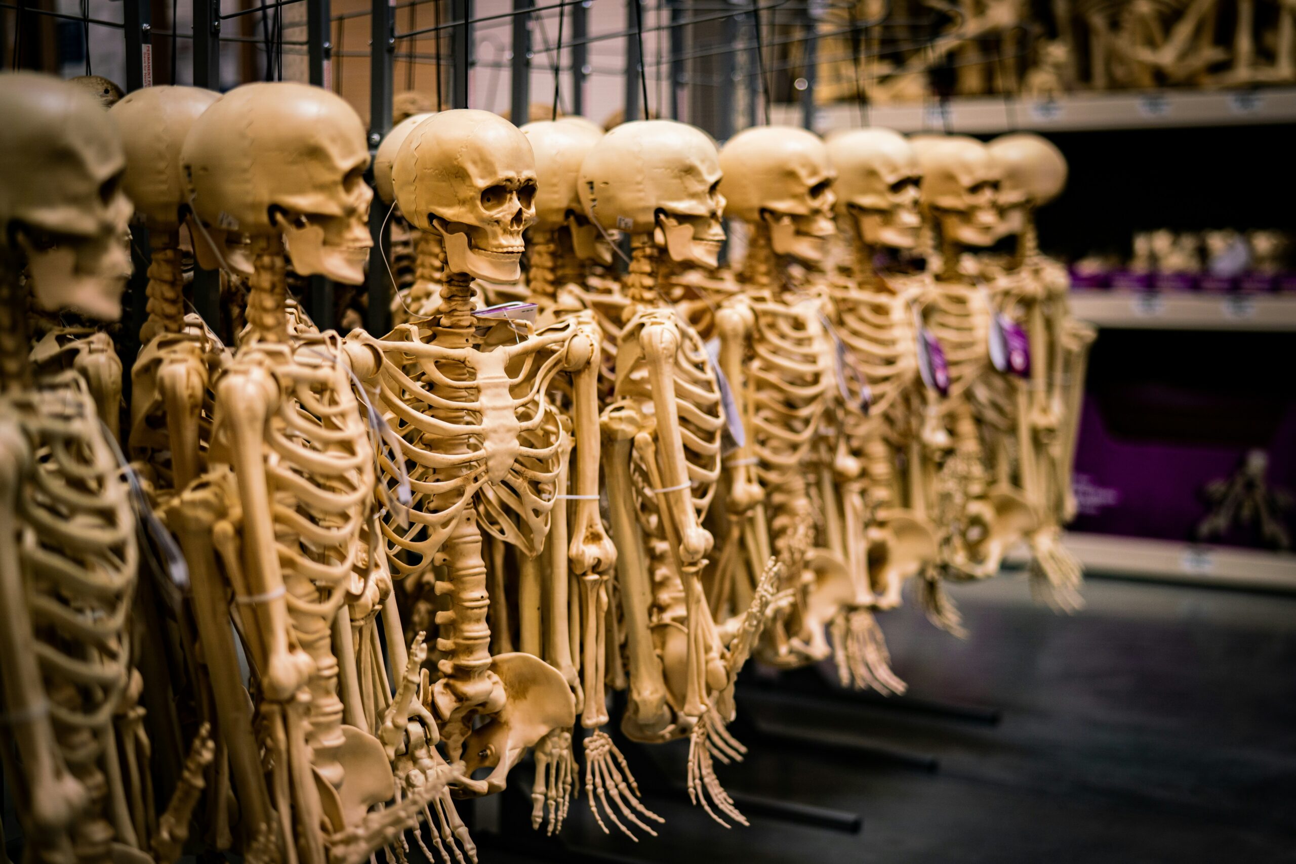 fake skeleton decorations