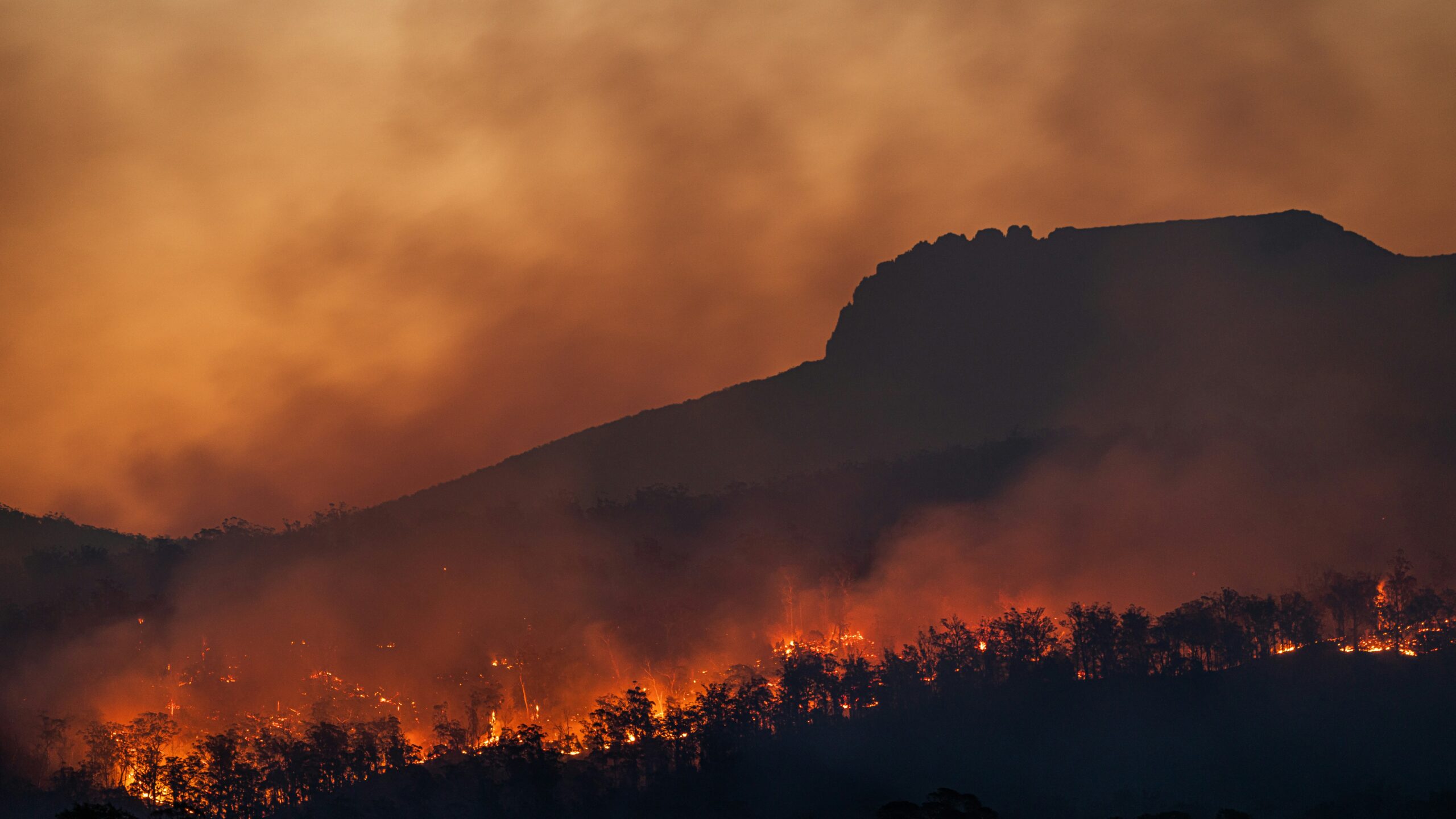 a mountain landscape with a forest fire