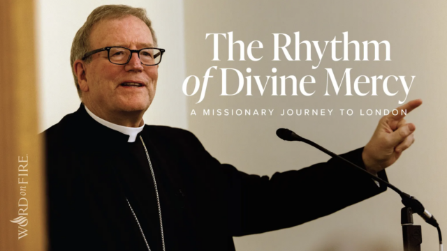 Bishop Robert Barron