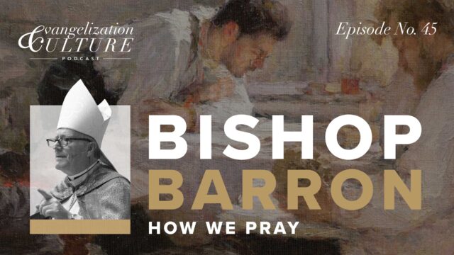 Bishop Barron ECP45