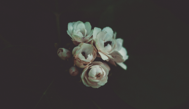 The Doubter's Prayer by Anne Bronte