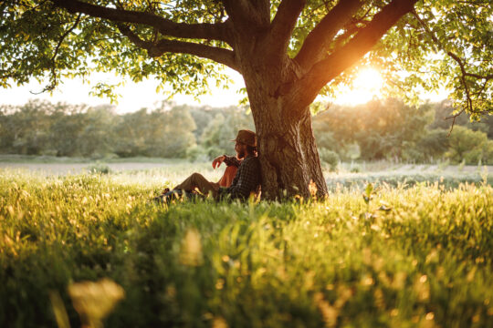 Man sitting beneath a tree