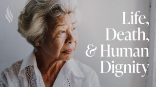 recommended article photo