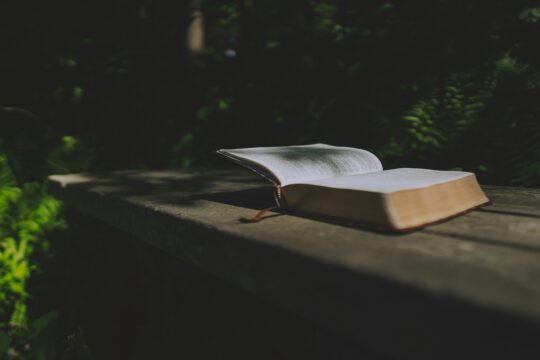 Open book on an outdoor table