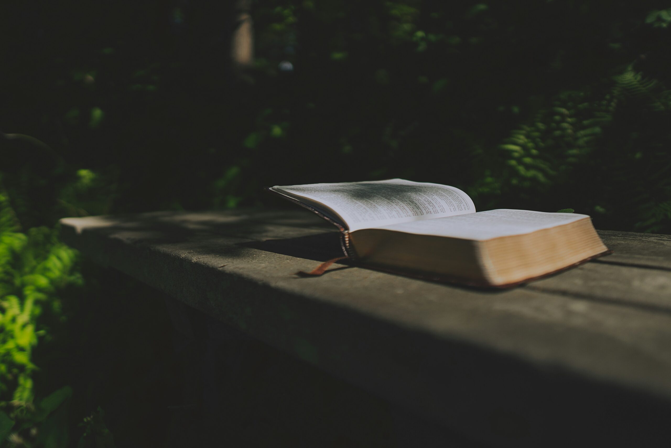 Open book on an outdoor table