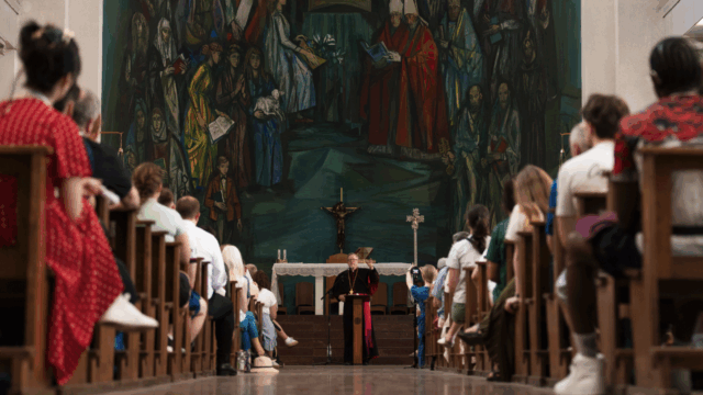 Bishop Barron speaking to Irish pilgrims