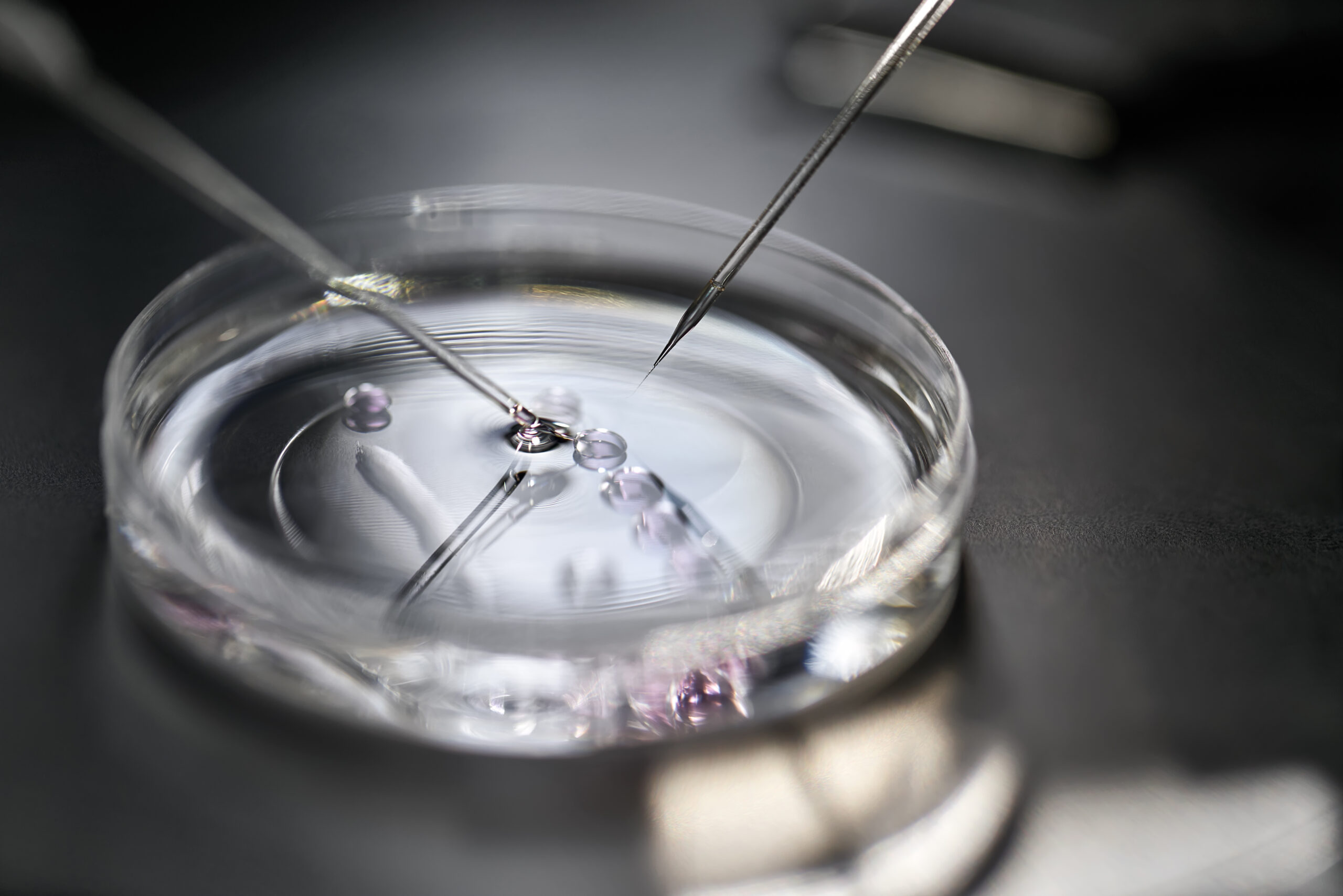 glass dish with needles in it