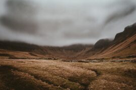 recommended article photo