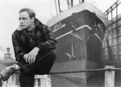 recommended article photo