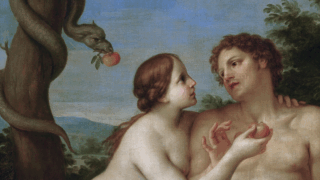 recommended article photo