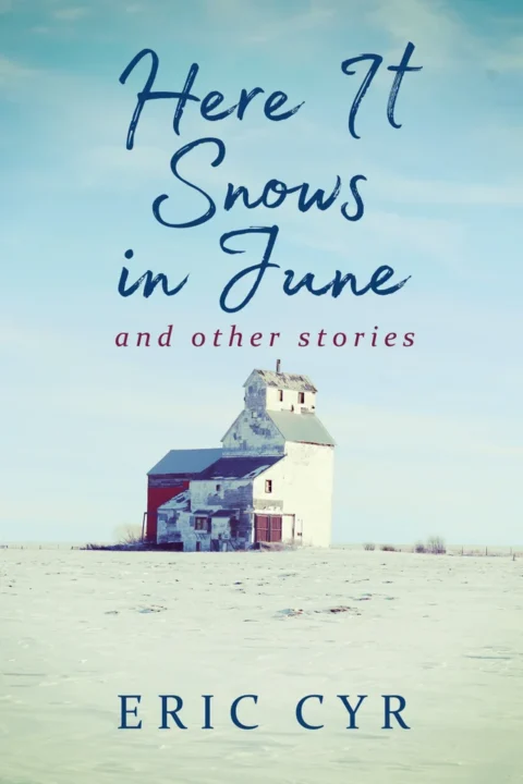 The cover of "Here It Snows in June"