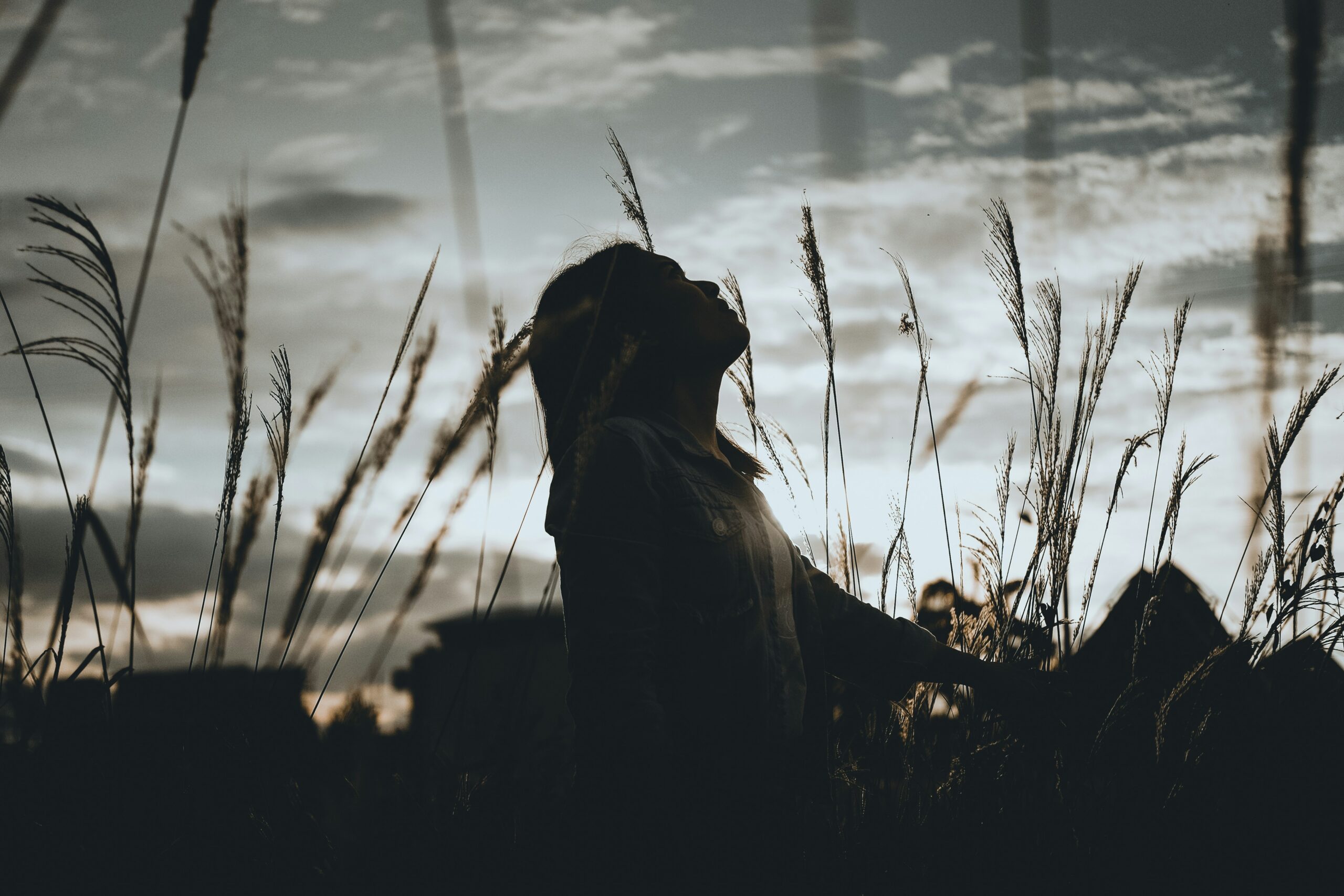 Person in a field