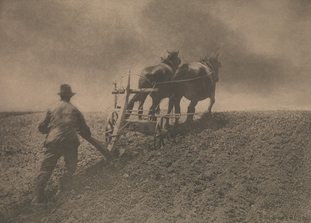 Man plowing a dusty field with two horses